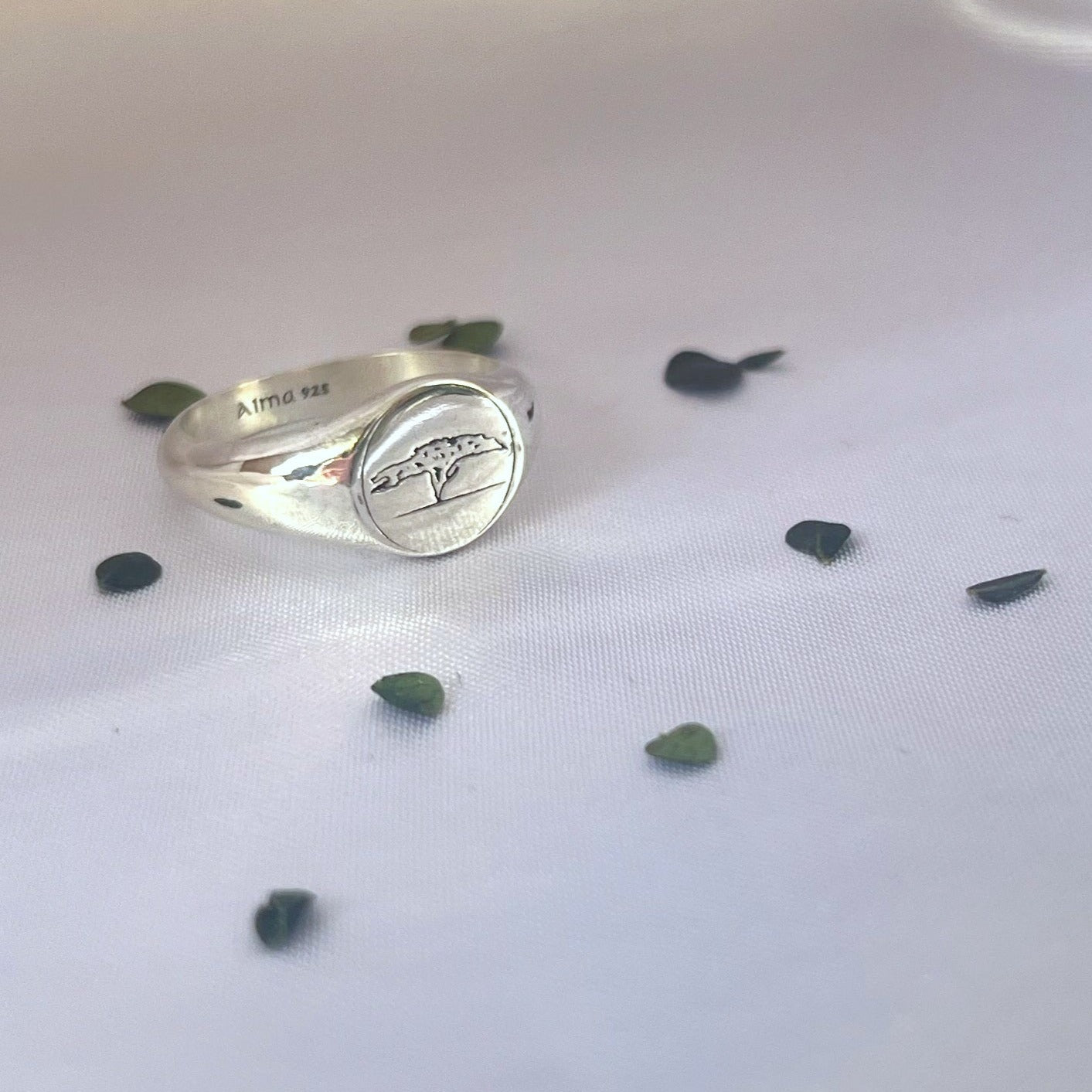 Negev Acacia Signet Ring - AlmaJewelryShop
