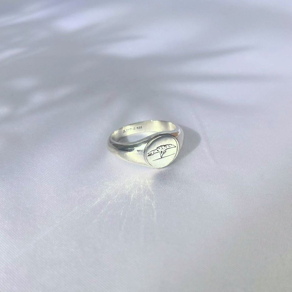 Negev Acacia Signet Ring - AlmaJewelryShop