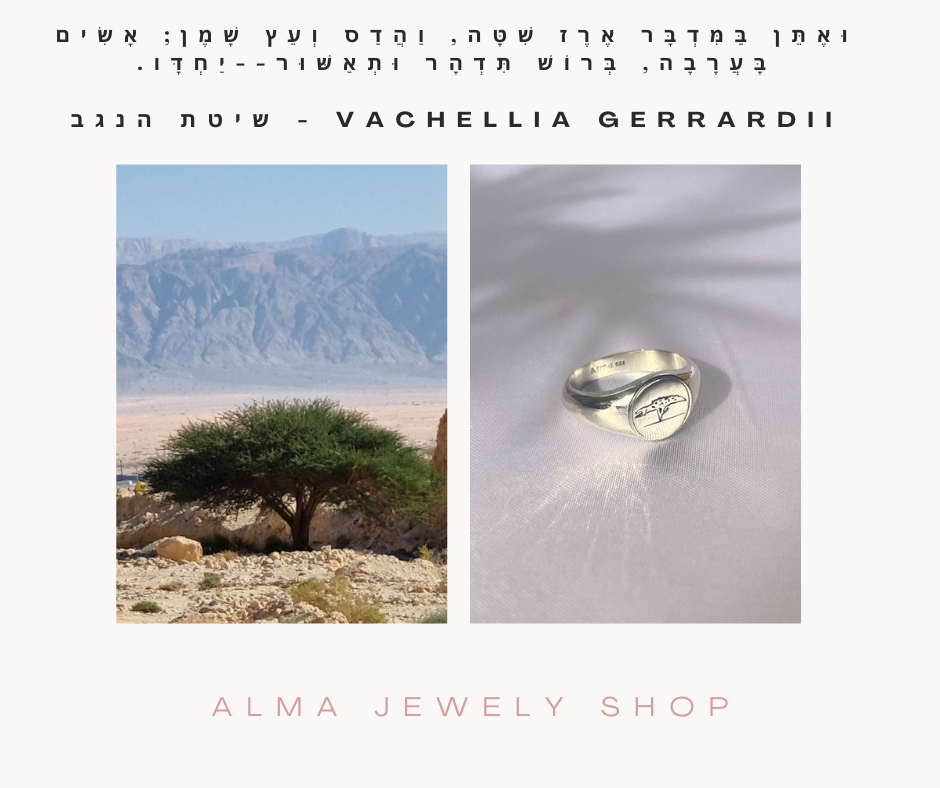 Negev Acacia Signet Ring - AlmaJewelryShop