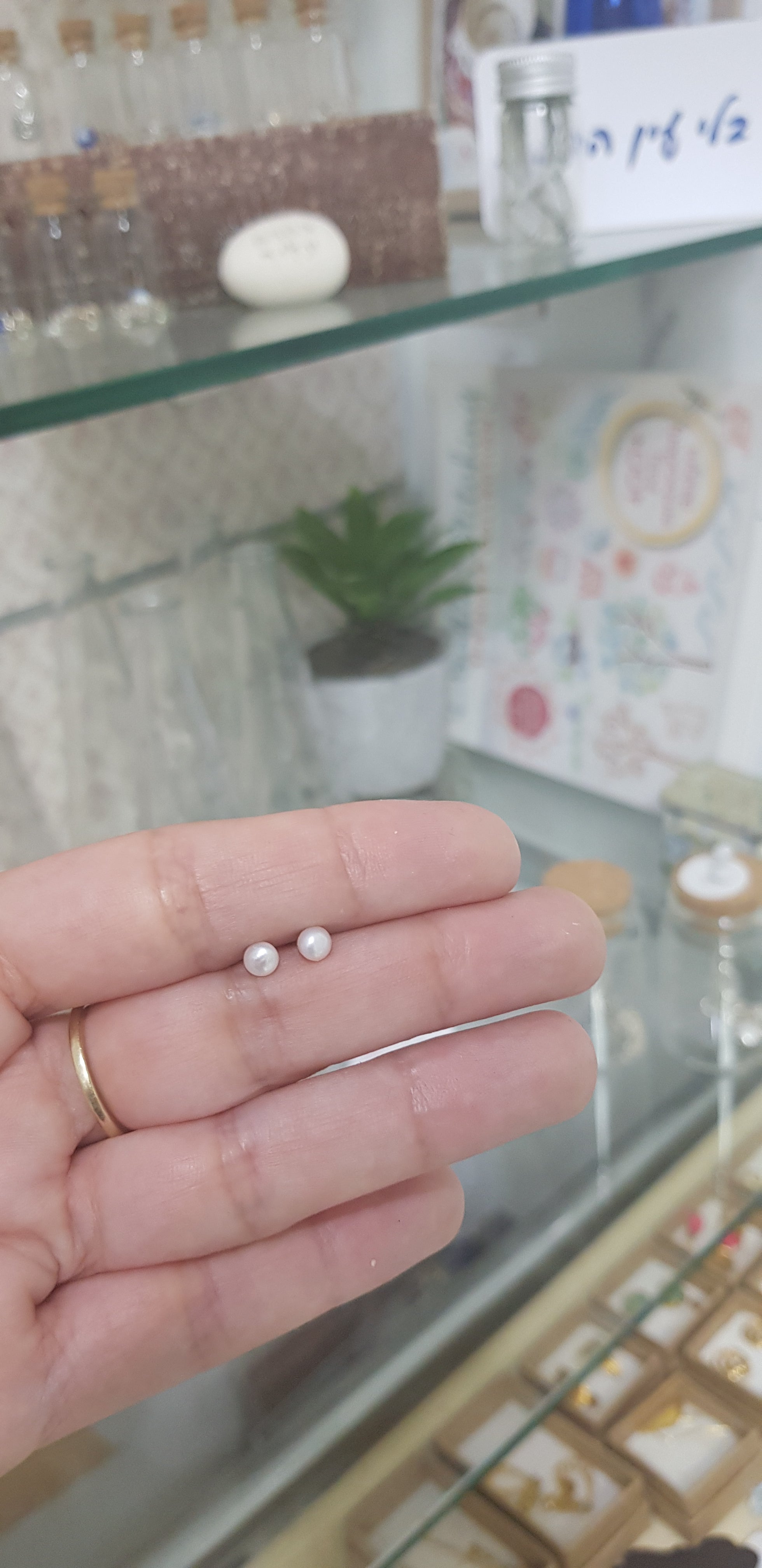 14k  Pearl Stud Earrings - AlmaJewelryShop Online boutique for gold and silver jewelry 